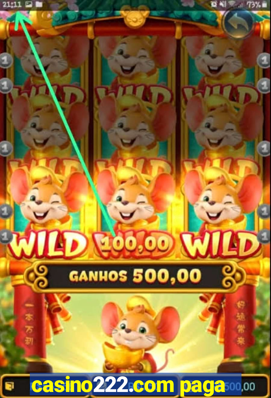 casino222.com paga